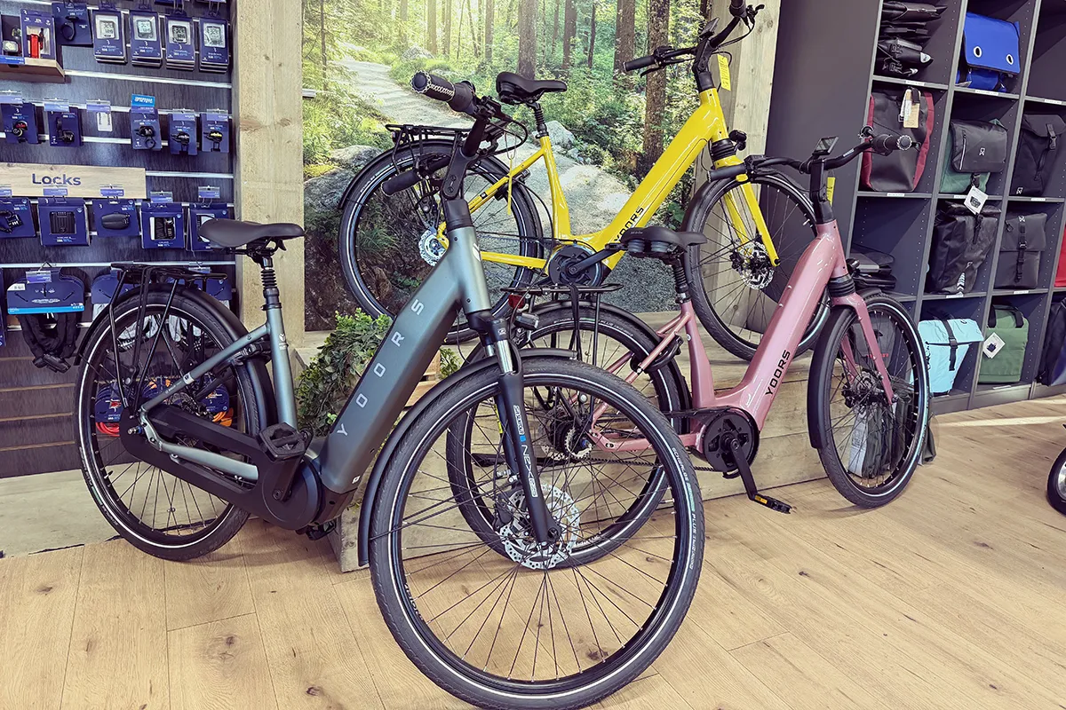 fietsenwinkel in renesse